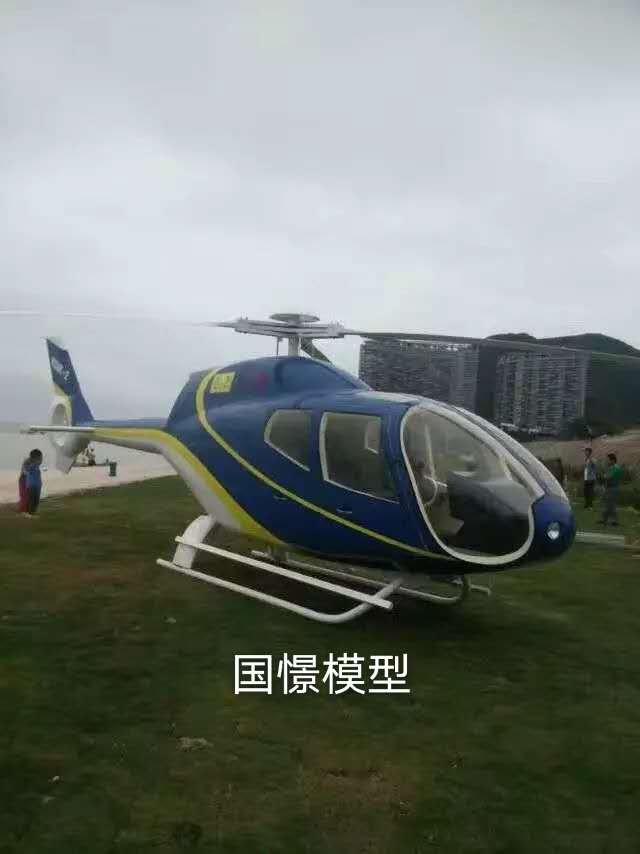 中方县飞机模型