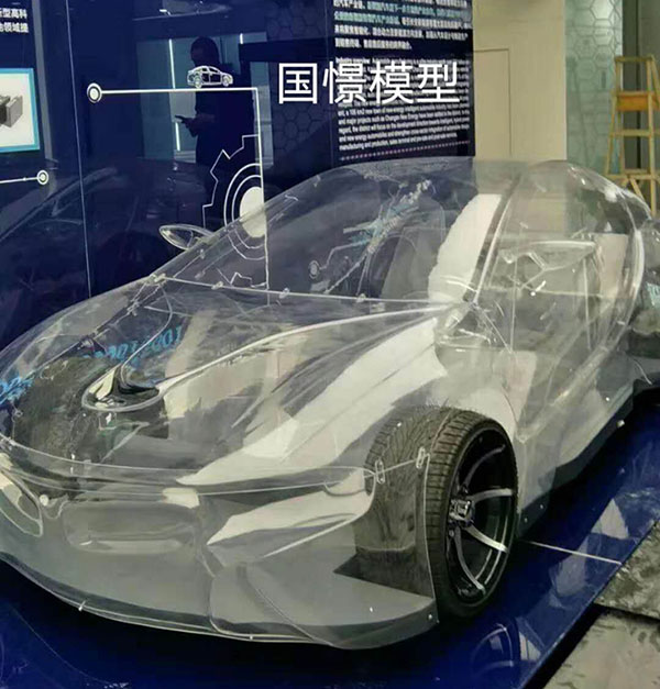 中方县透明车模型