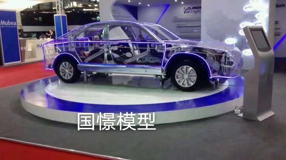 中方县透明车模型